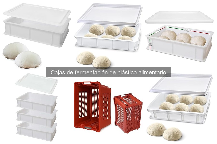 Alternativas a Cajas de Fermentación de Plástico para Pizza