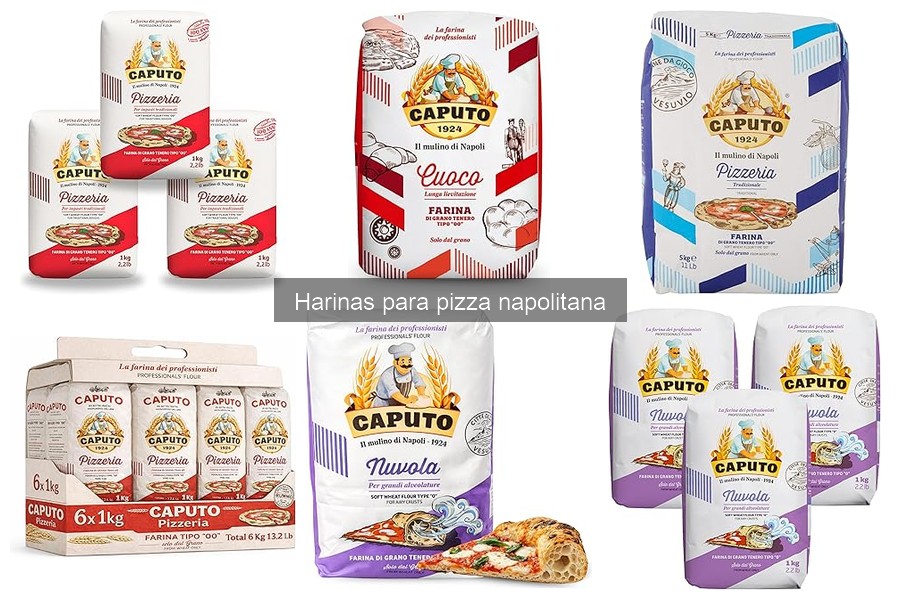Alternativas a la harina de pizza napolitana para tu pizza