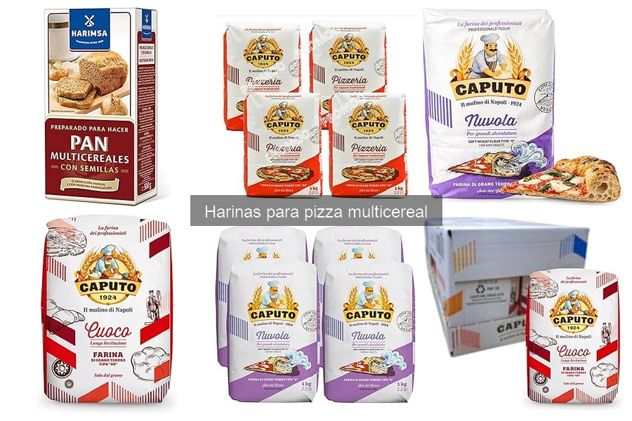 Alternativas a la Harina Multicereal para Hacer Pizza