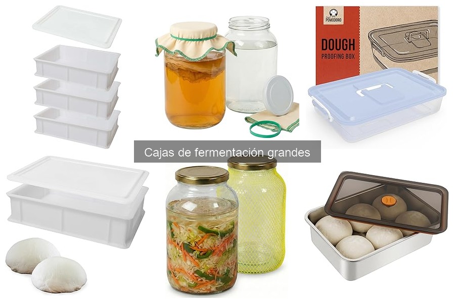 Alternativas a las cajas de fermentación grandes para masa de pizza