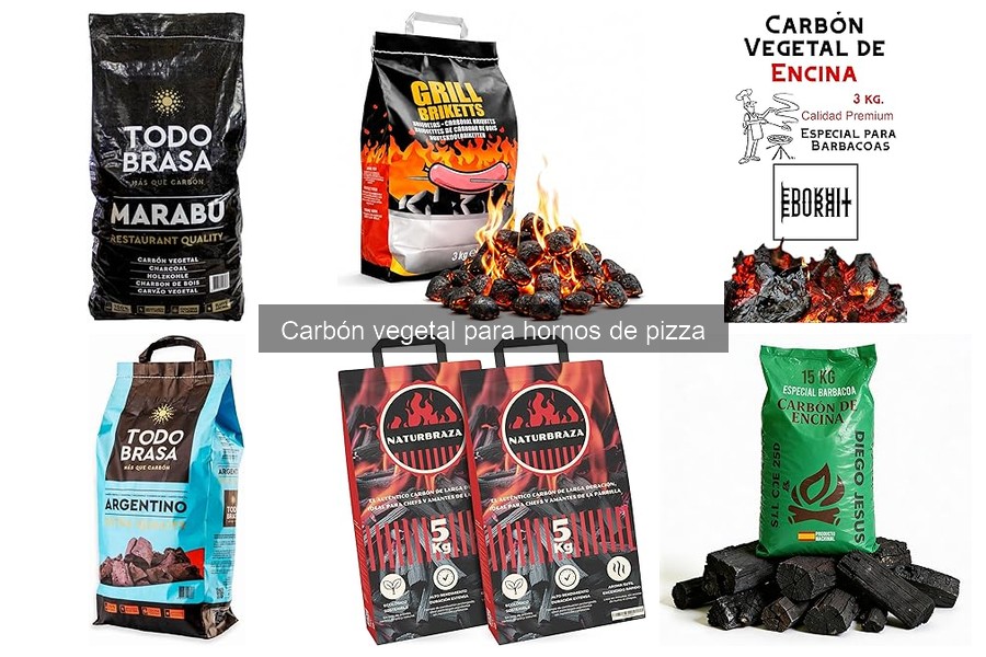 Alternativas al carbón vegetal para hornos de pizza