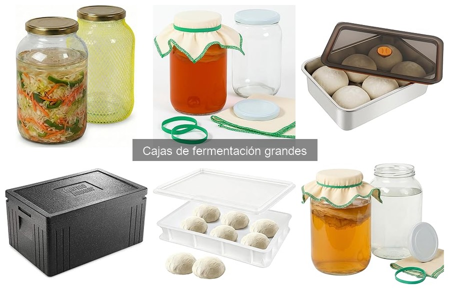 Cómo elegir la caja de fermentación grande ideal para ti