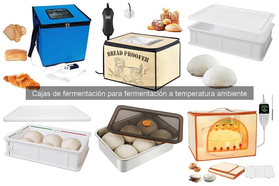 Cómo elegir la caja de fermentación ideal para tu pizza