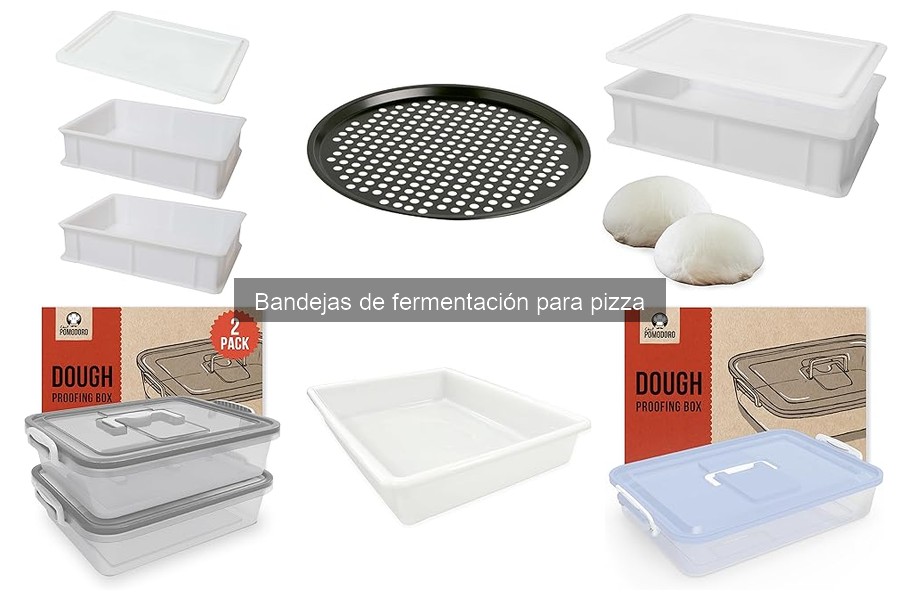Cómo elegir la mejor bandeja de fermentación para pizza