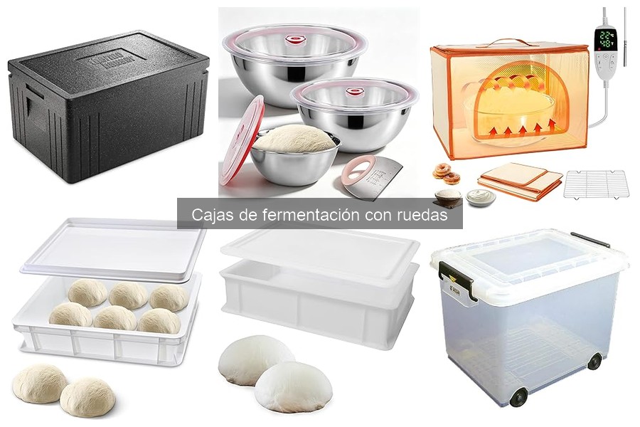 Cómo elegir la mejor caja de fermentación con ruedas