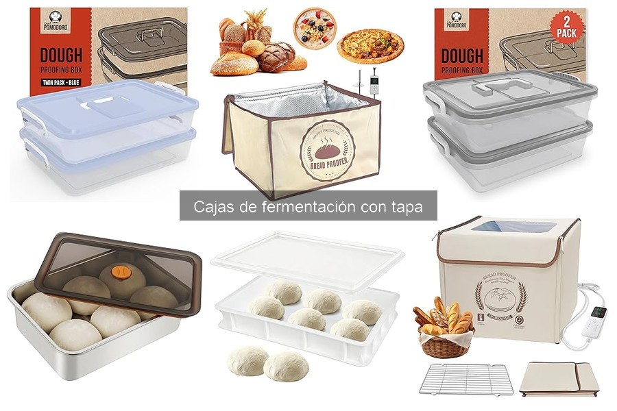 Cómo elegir la mejor caja de fermentación con tapa