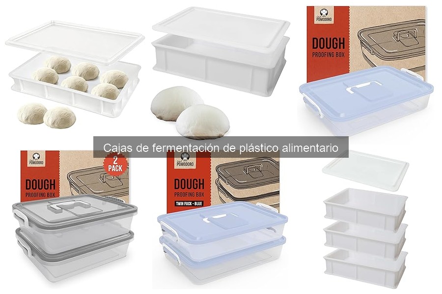 Cómo elegir la mejor caja de fermentación de plástico alimentario
