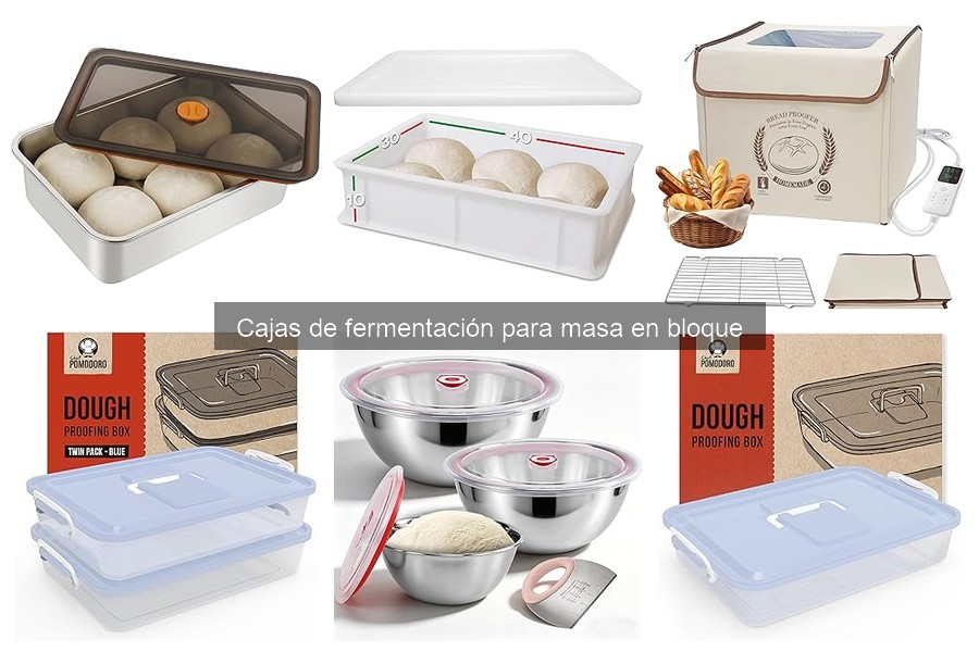 Cómo elegir la mejor caja de fermentación para masa