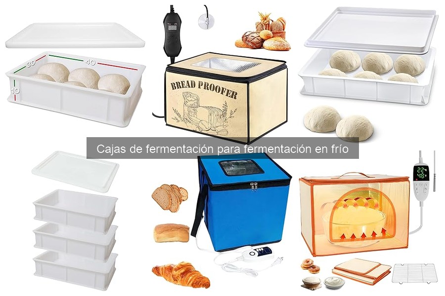 Cómo elegir la mejor caja de fermentación para pizza