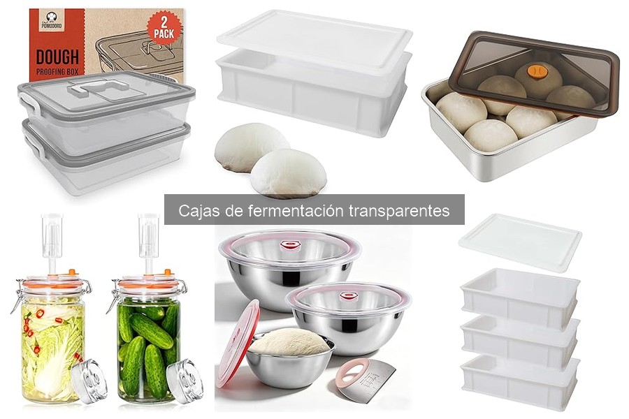 Cómo elegir la mejor caja de fermentación transparente
