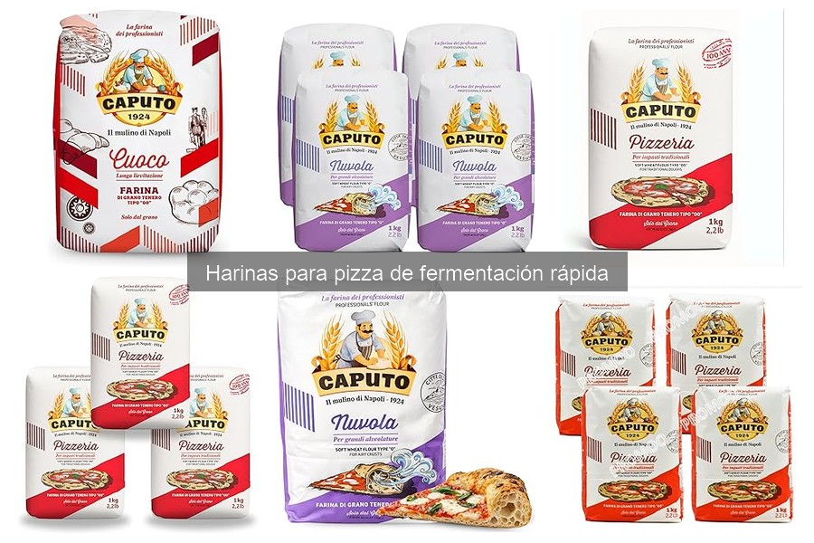 Cómo elegir la mejor harina de fermentación rápida para pizza