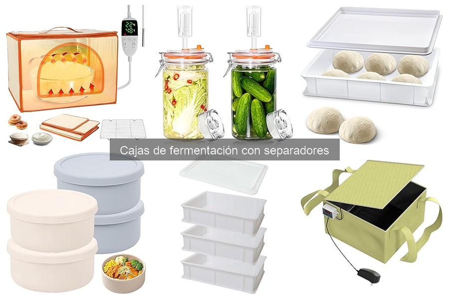 Cómo elegir una caja de fermentación con separadores