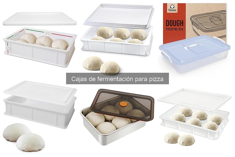 Comparativa: Caja de Fermentación de Plástico vs. Madera