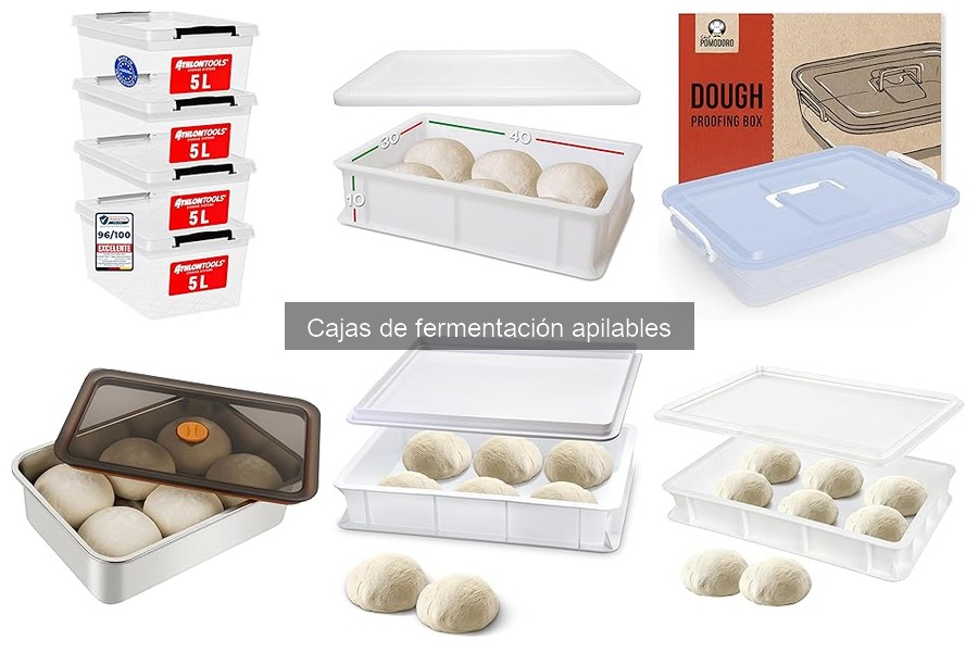 Comparativa: Cajas de fermentación apilables vs. tradicionales