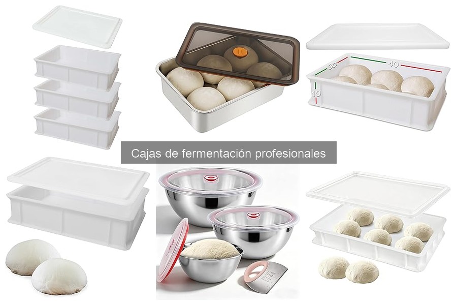 Comparativa: Cajas de Fermentación de Madera vs Plástico