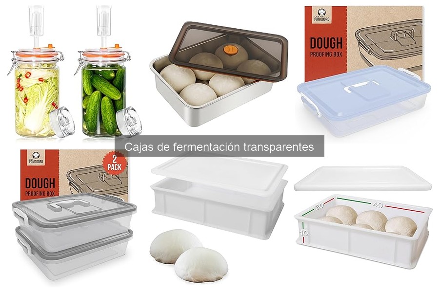 Comparativa: Cajas de fermentación transparentes vs tradicionales