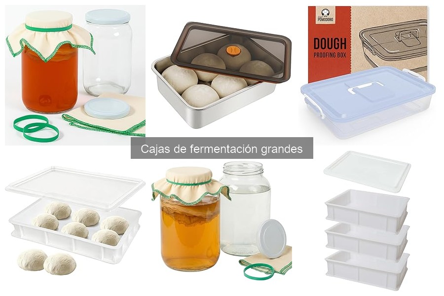 Comparativa de cajas de fermentación grandes y pequeñas