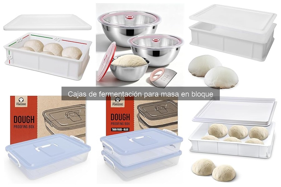 Comparativa de Cajas de Fermentación para Masa en Bloque