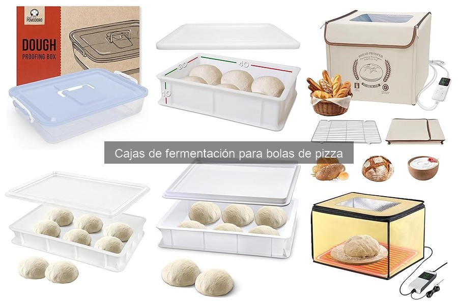 Comparativa de Cajas de Fermentación para Pizza: Mejores Marcas