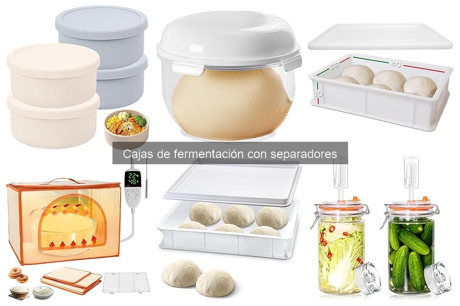 Comparativa de precios de cajas de fermentación con separadores