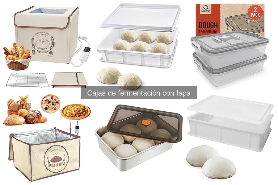 Dónde comprar cajas de fermentación con tapa para pizza