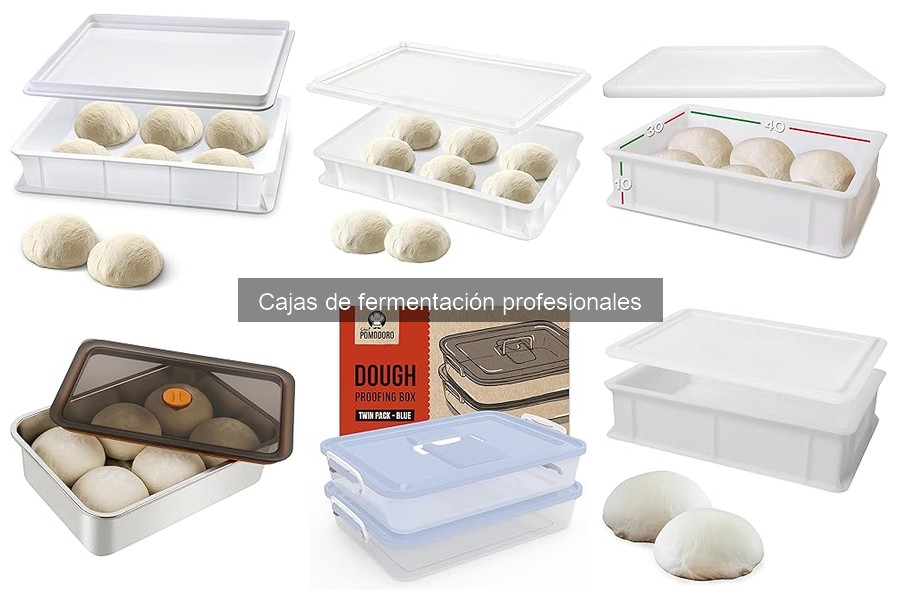 Dónde comprar cajas de fermentación profesionales para pizza