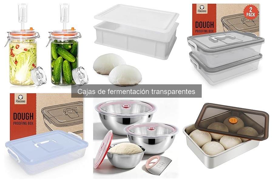 Dónde comprar cajas de fermentación transparentes en 2023