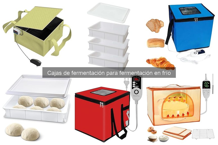 Efecto de la Temperatura en la Fermentación en Cajas de Pizza