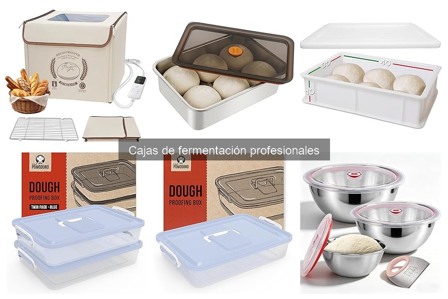 Elige la mejor caja de fermentación para tus necesidades