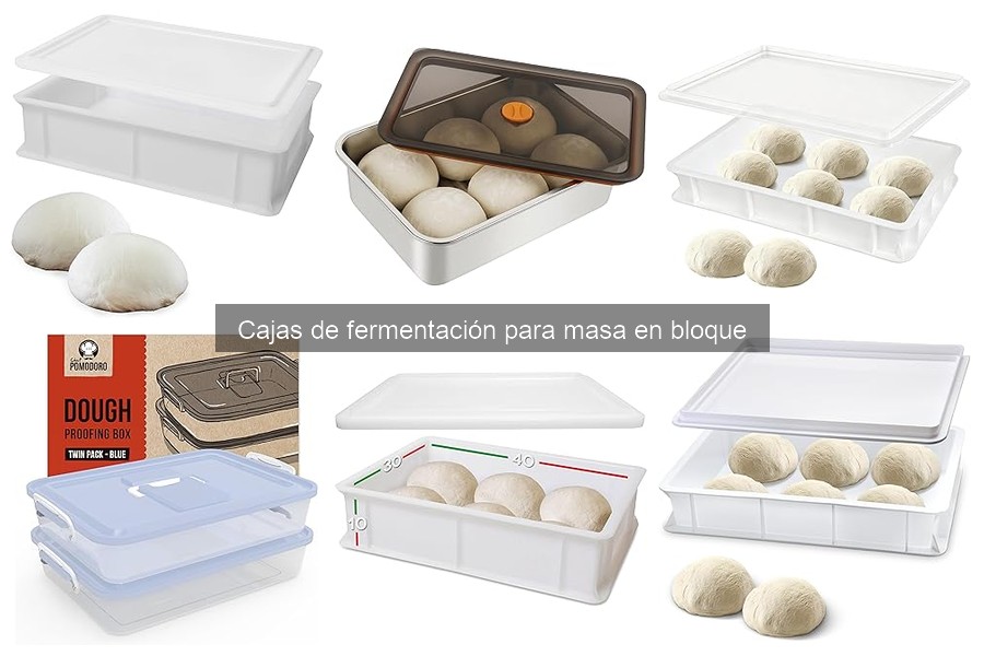 Errores comunes al elegir cajas de fermentación para masa