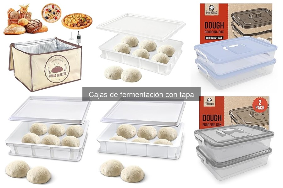 Errores comunes al usar cajas de fermentación con tapa