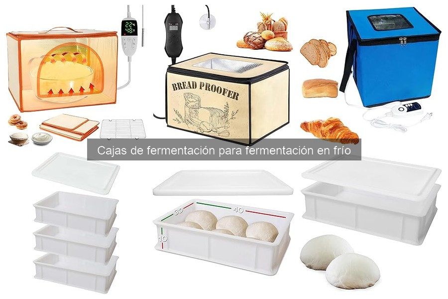Errores comunes al usar cajas de fermentación para pizza