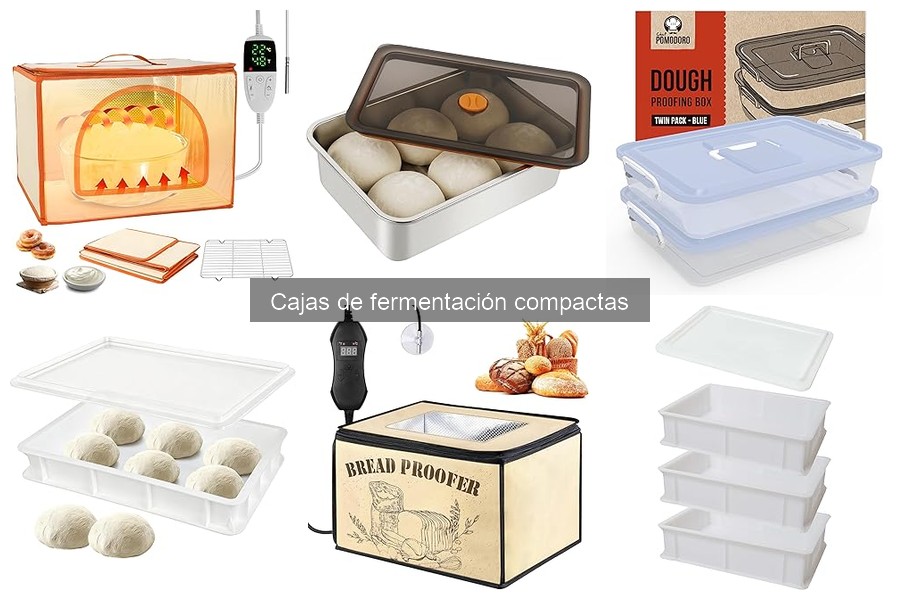 Guía de compra de cajas de fermentación compactas para pizza