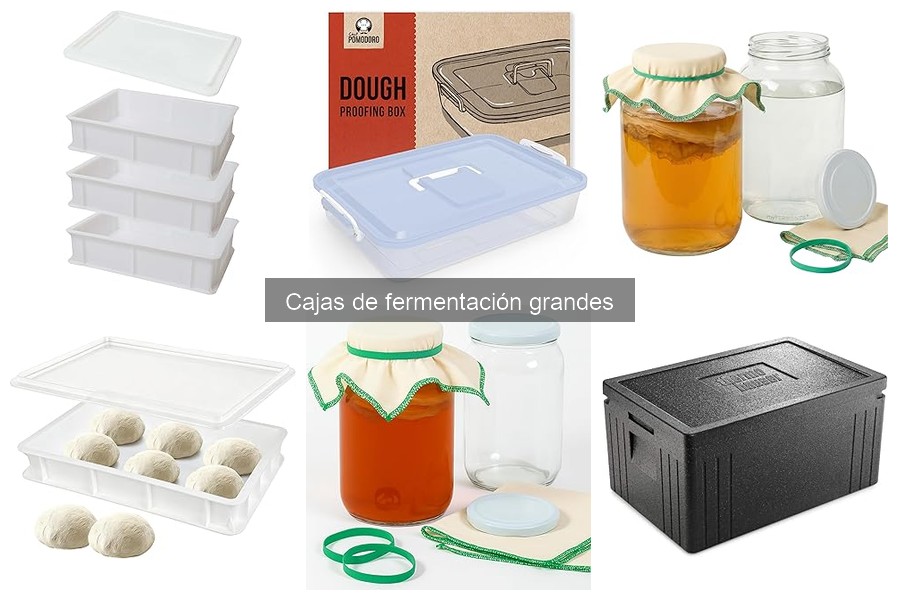 Guía de Mantenimiento y Limpieza de Cajas de Fermentación Grandes