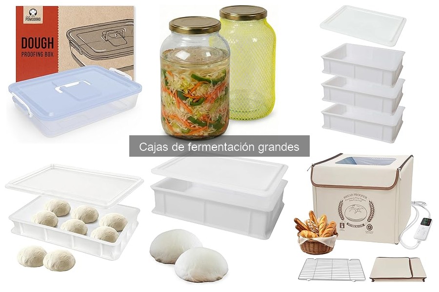 Guía para usar una caja de fermentación grande para pizza