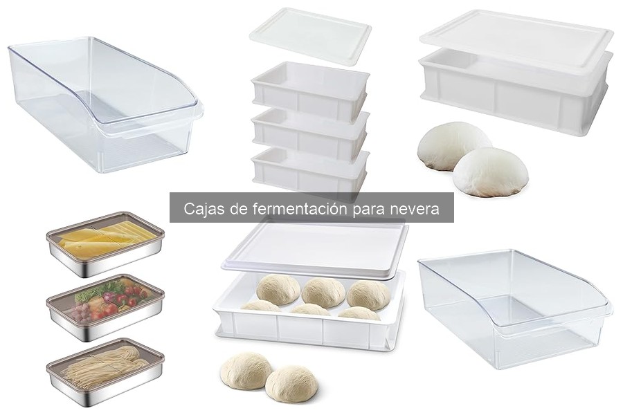 Impacto de la temperatura en la fermentación de la masa