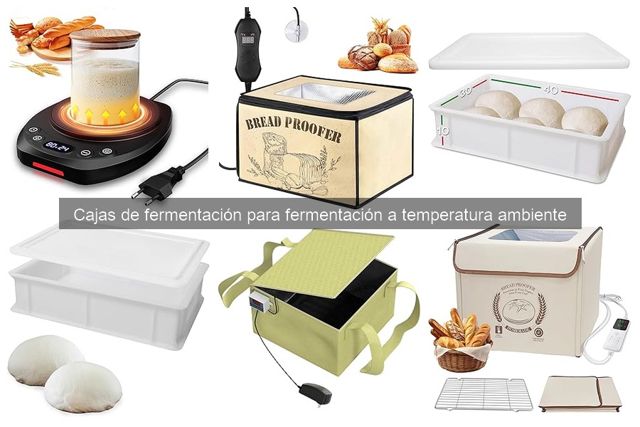Mantenimiento de Cajas de Fermentación para Pizza: Guía Completa