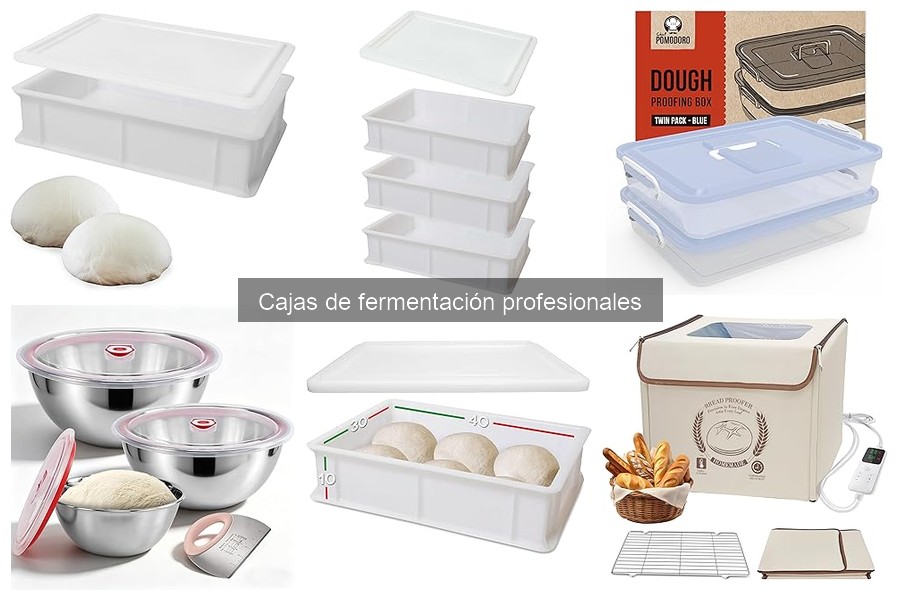 Mejor caja de fermentación para principiantes en pizza