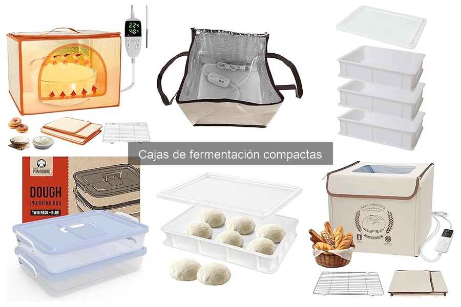 Mejores cajas de fermentación compactas para pan y pizza