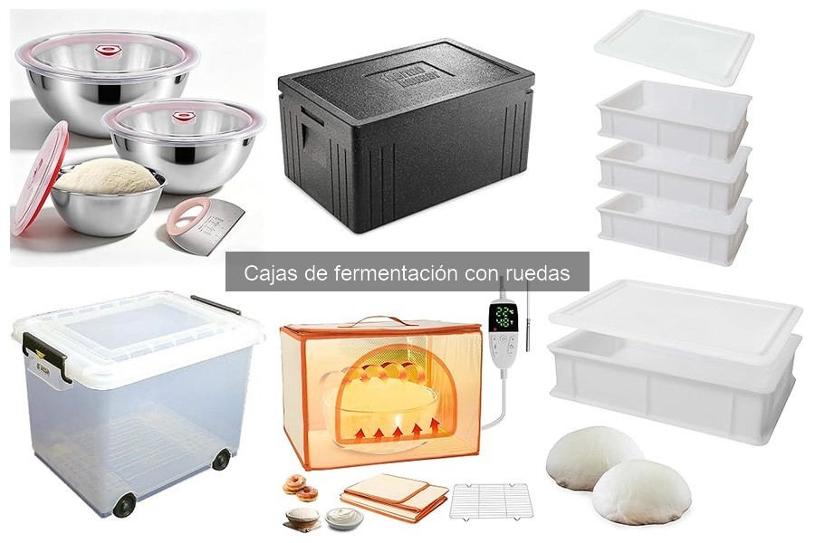Mejores cajas de fermentación con ruedas para hacer pizza