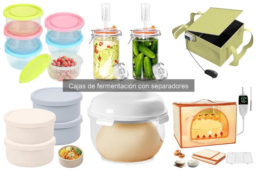 Mejores cajas de fermentación con separadores para pizzaiolos