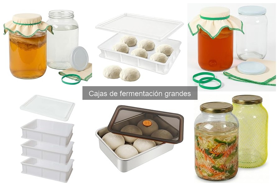 Mejores cajas de fermentación grandes para pizzaiolos