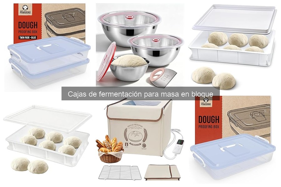 Mejores cajas de fermentación para masa en 2023