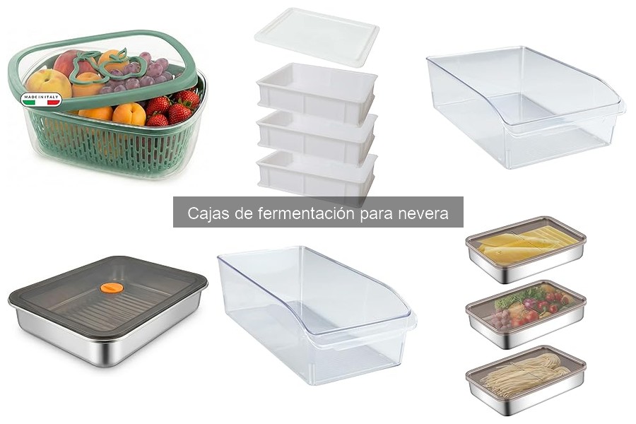 Mejores cajas de fermentación para pizza casera en 2023
