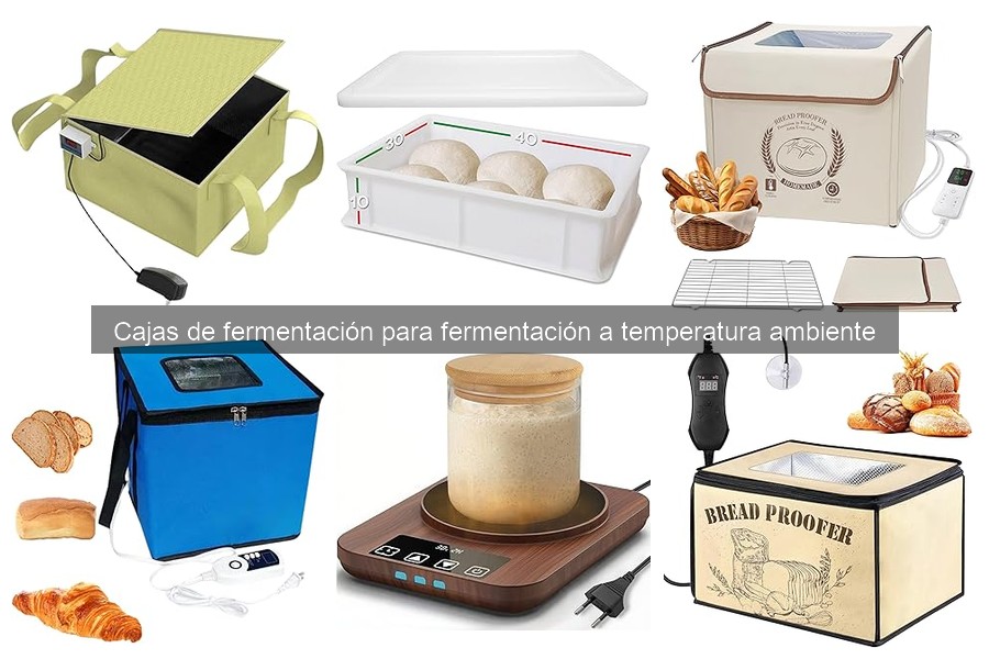 Mejores cajas de fermentación para pizza en 2023