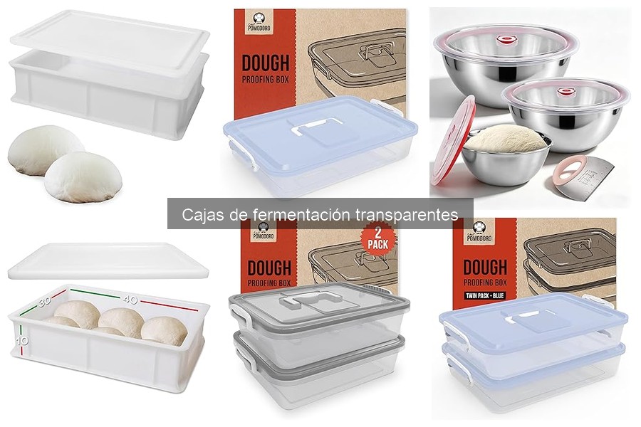 Mejores cajas de fermentación transparentes para hacer pizza