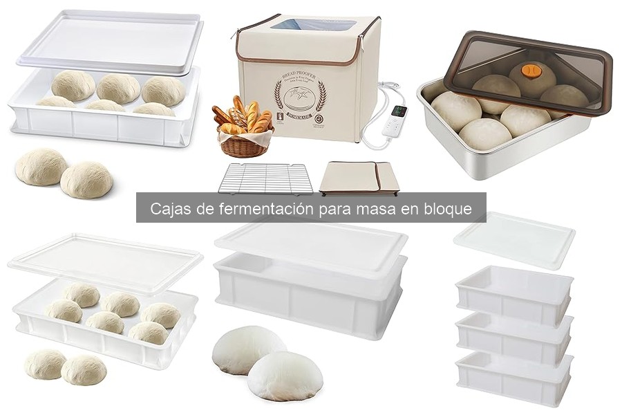Mejores lugares para comprar cajas de fermentación para masa