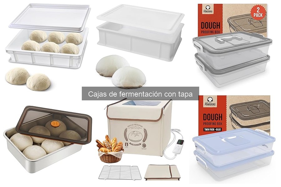 Mejores marcas de cajas de fermentación con tapa para pizza