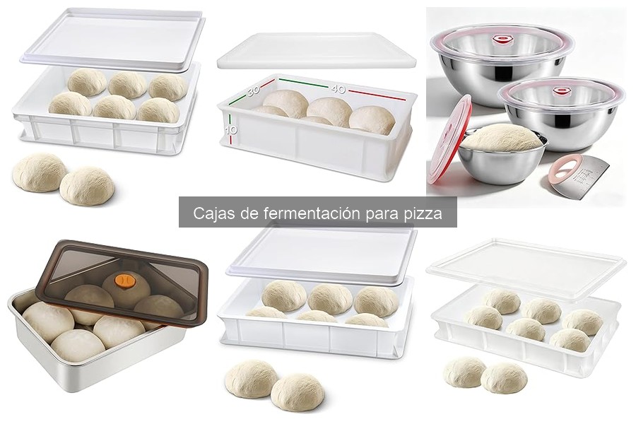 Mejores marcas de cajas de fermentación para pizza