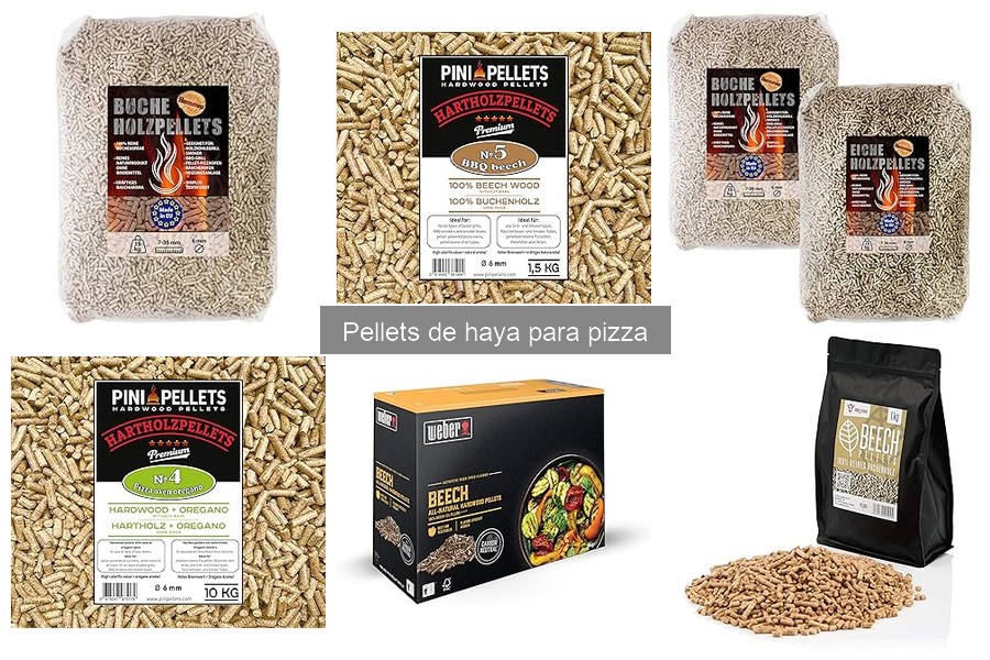 Mejores marcas de pellets de haya para pizza en 2023